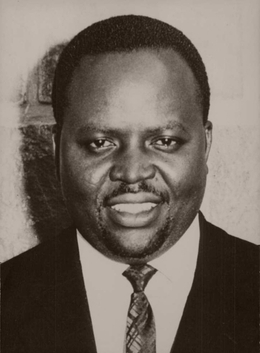 BERNARDIN MUNGUL DIAKA