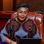 Réunion du Conseil des Ministres : La Première Ministre salue le discours du Chef de l’Etat à l’ONU et l'appréciation du franc congolais