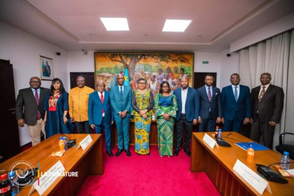 suminwa developpement rdc